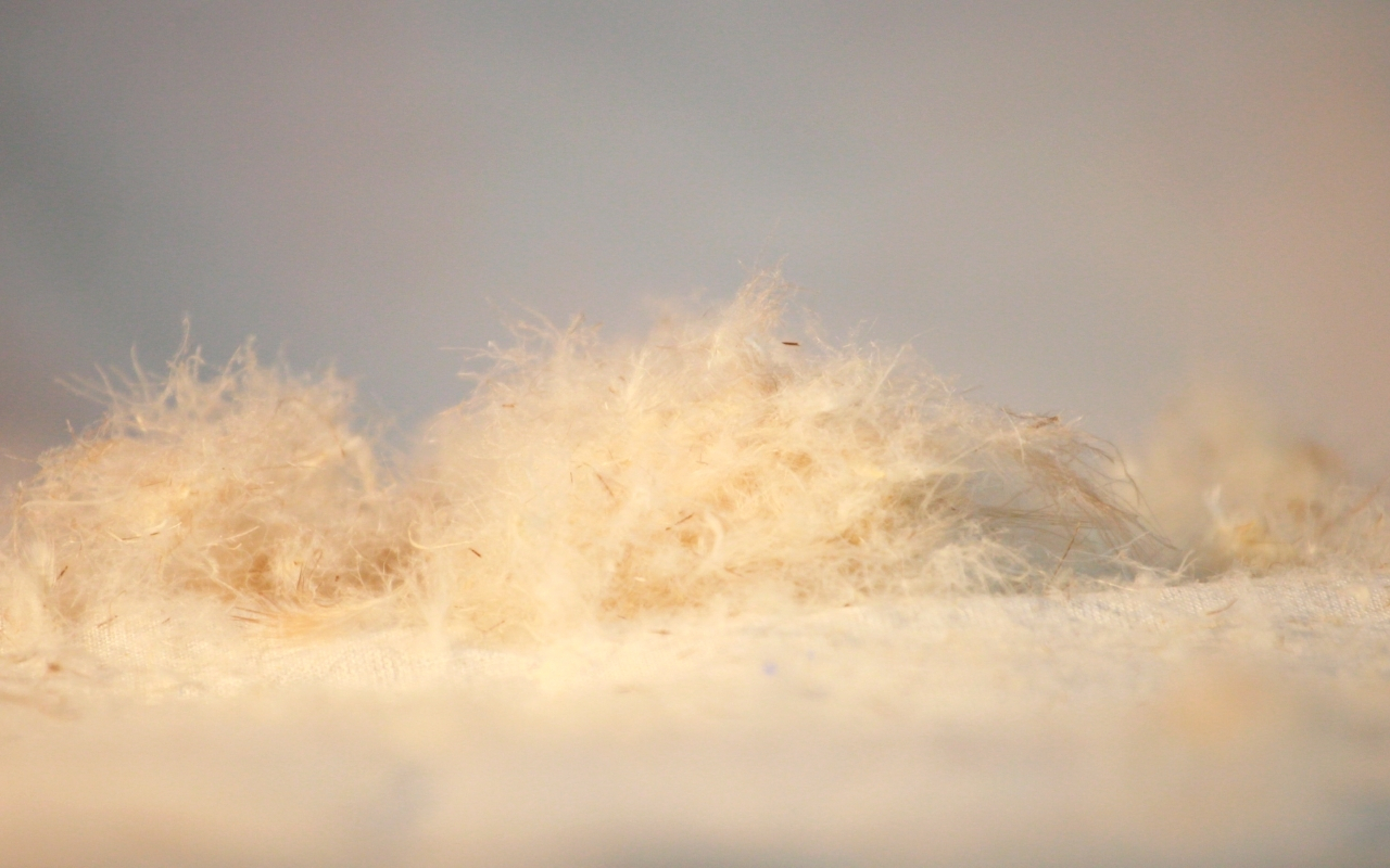 Mr. Mattress Wings XL фото 5