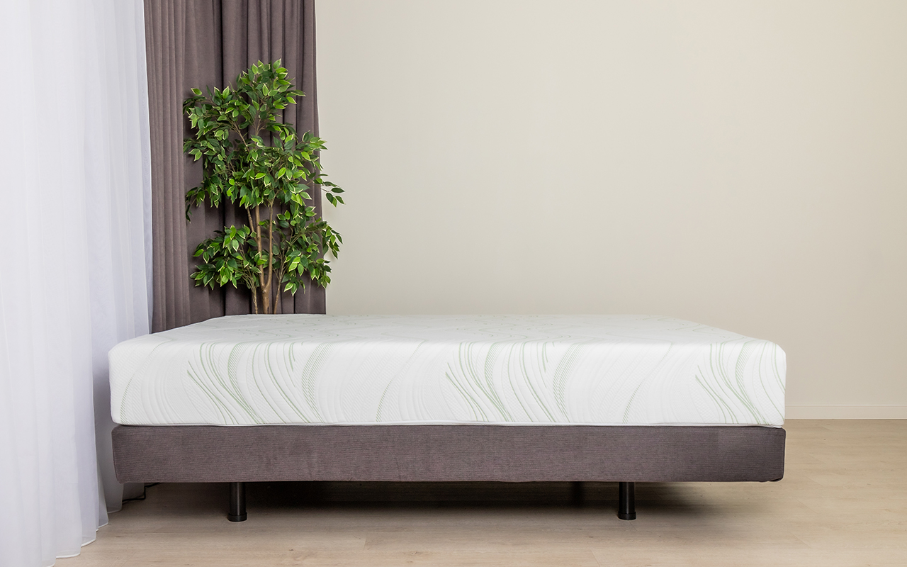 ProSon Dream Motion Memo M фото 15